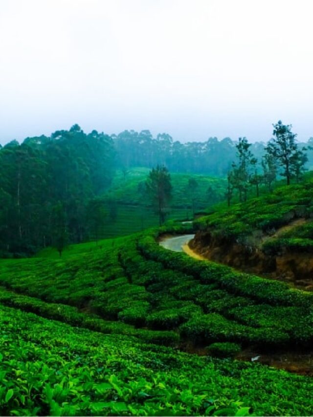 Munnar