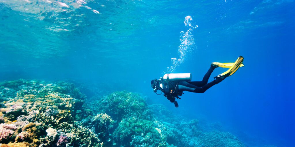 8 Epic Diving Spots in Andaman for Ocean Adventure Seekers | Travel Rethink Ways 12 Adventure images 03