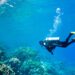 Top 8 Diving Spots in Andaman Islands | Travel Rethink Ways 15 Adventure images 03