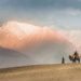 Best 8 Adventure Activities in Leh Ladakh Travel Rethink Ways 18 Adventure images Leh ladakh