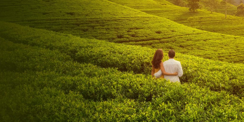 Munnar Diaries: Love Among the Tea Hills Remembered | Travel Rethink Ways 15 Honeymoon Munnar 1