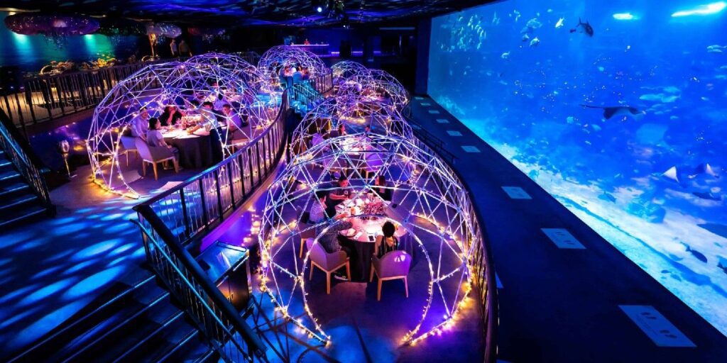 7 Most Stunning Underwater Restaurants in the World | Travel Rethink Ways 11 Rethinkways 7underwaterresturarent