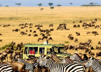 international July Nairobi Kenya