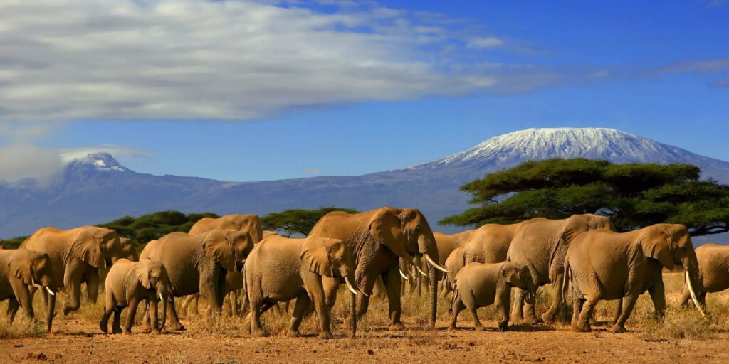 The Best 10 Things to Do in Kenya 2026 | Travel Rethink Ways 14 International Destination Kenya cover