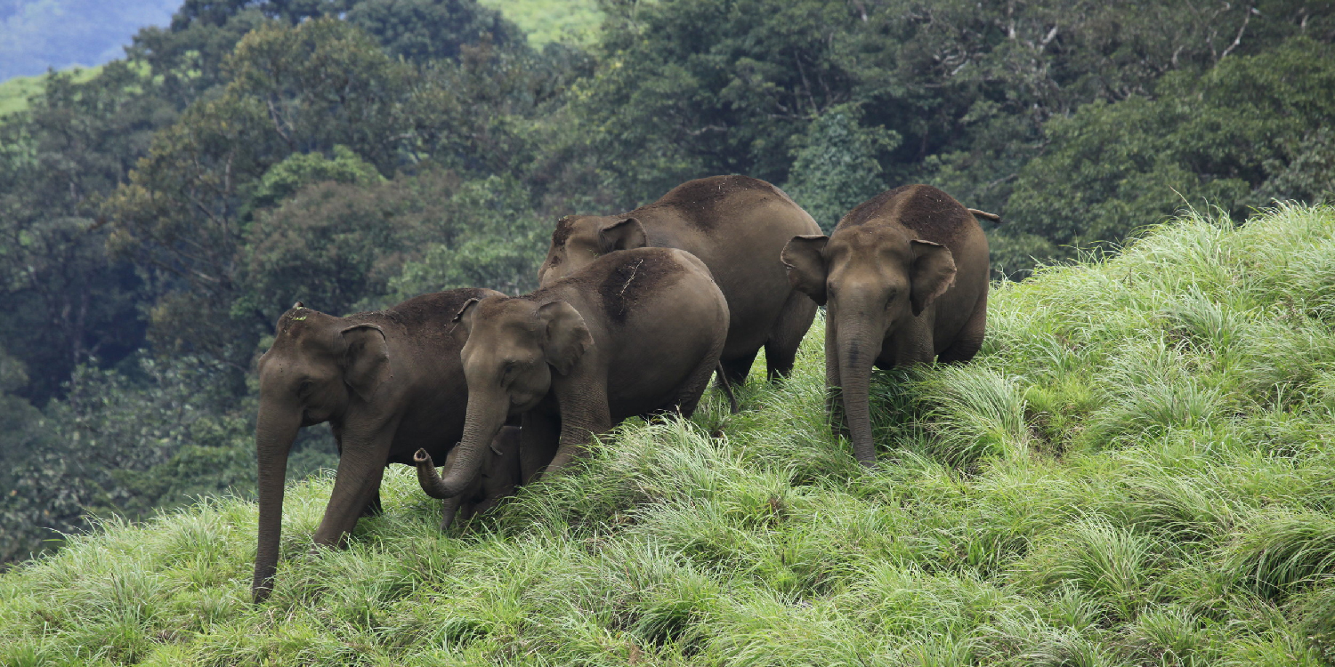 REthinkways Blog Wildlifesancturary 17