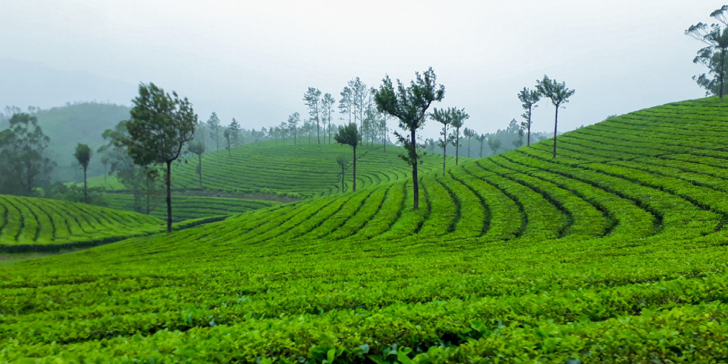 10 Hidden Gems in Kerala Must Visit Offbeat Places Travel Rethink Ways 15 Rethinkways Blog kerala 01