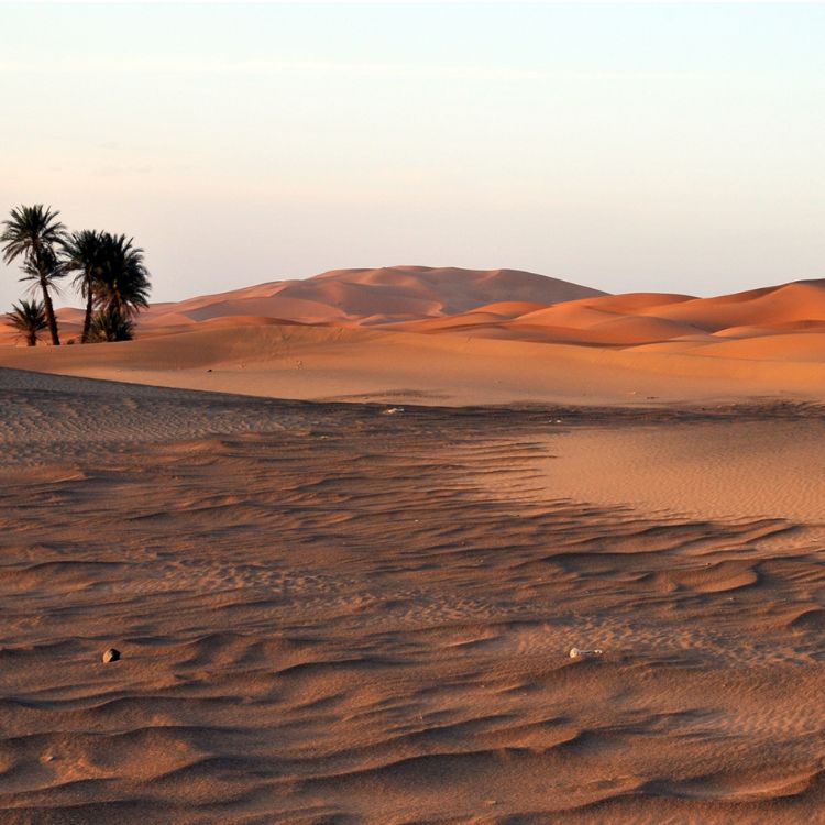 sahara desert
