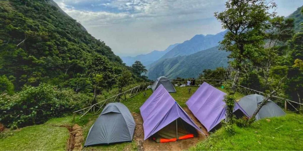 munnar camping under the stars
