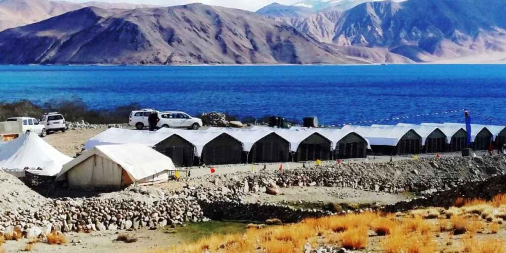 Pangong camping under the stars