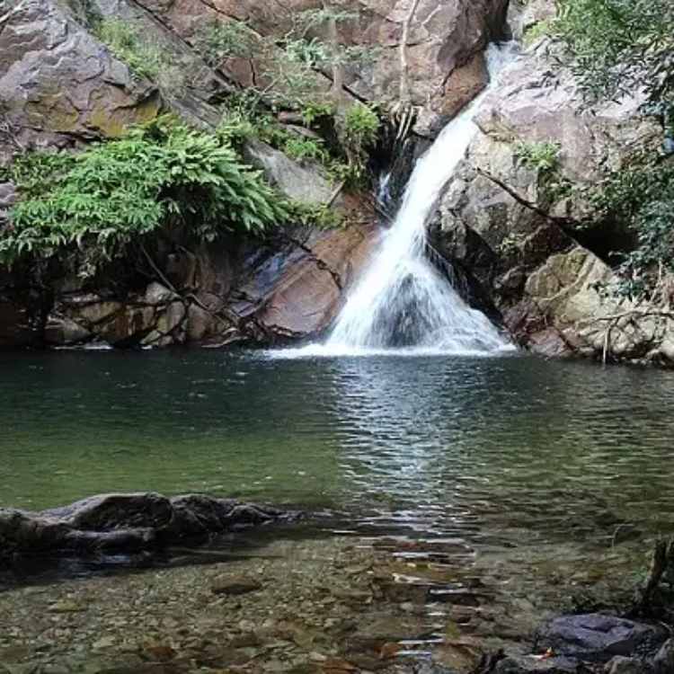Nagalapuram - Trekking trails in S.India