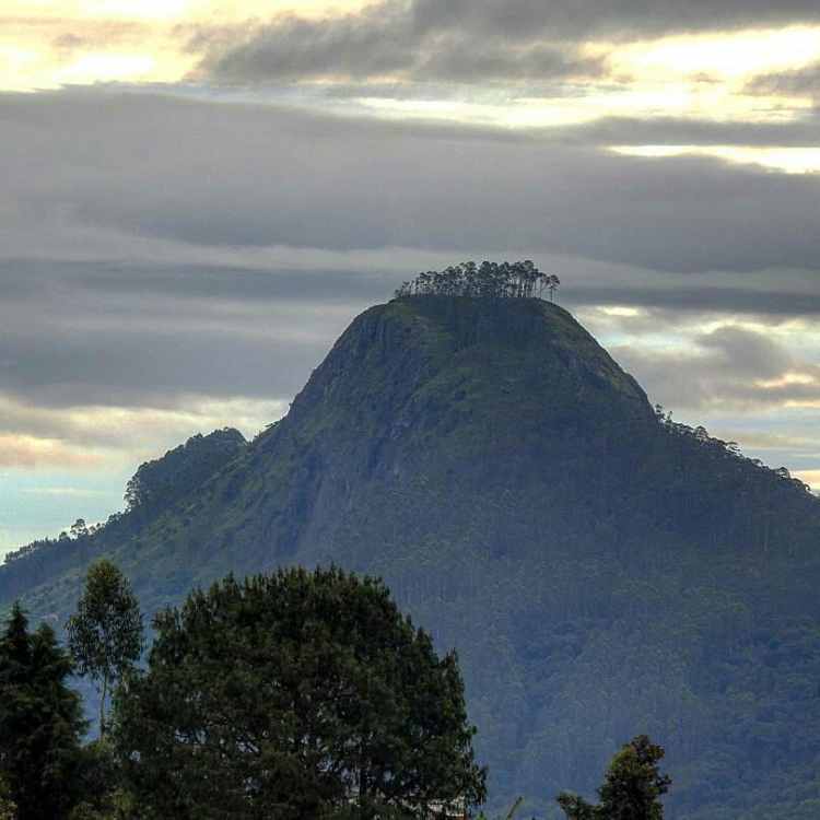 Perumal - Trekking trails in S.India