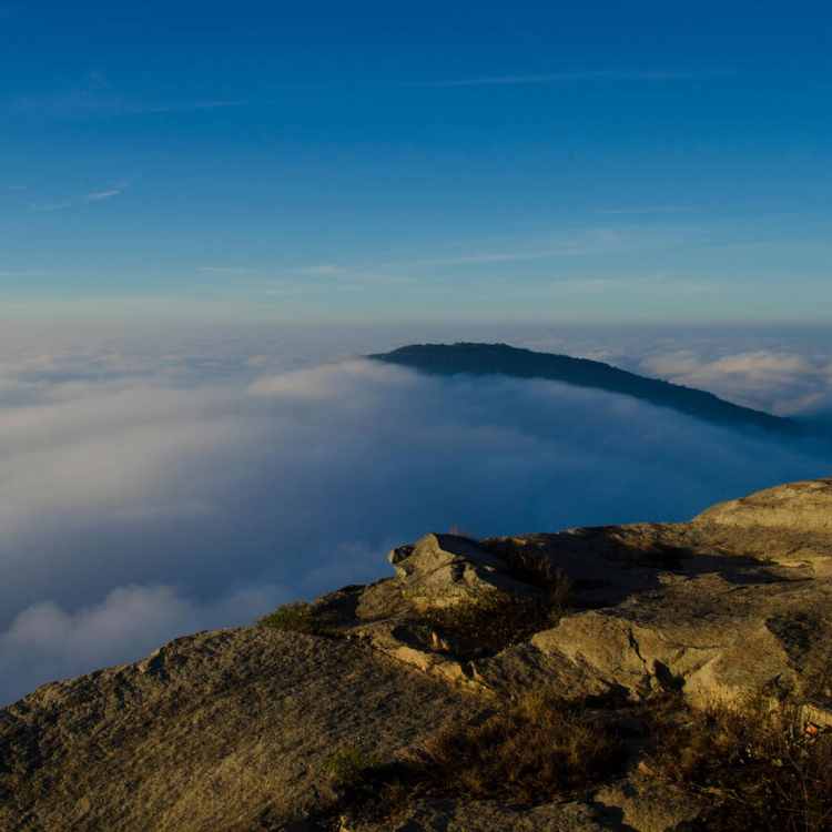 Tadiandamol - Trekking trails in S.India