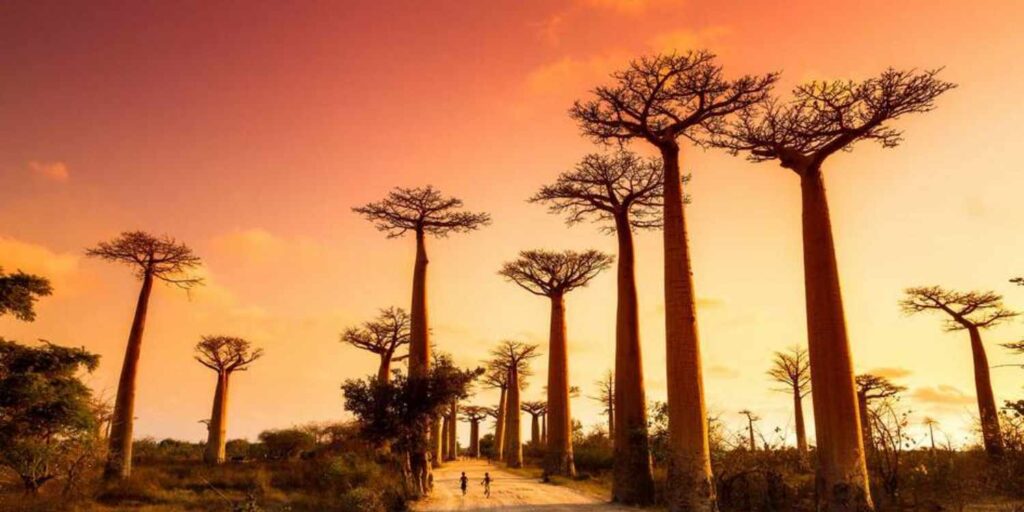 Madagascar - Photographic Journey