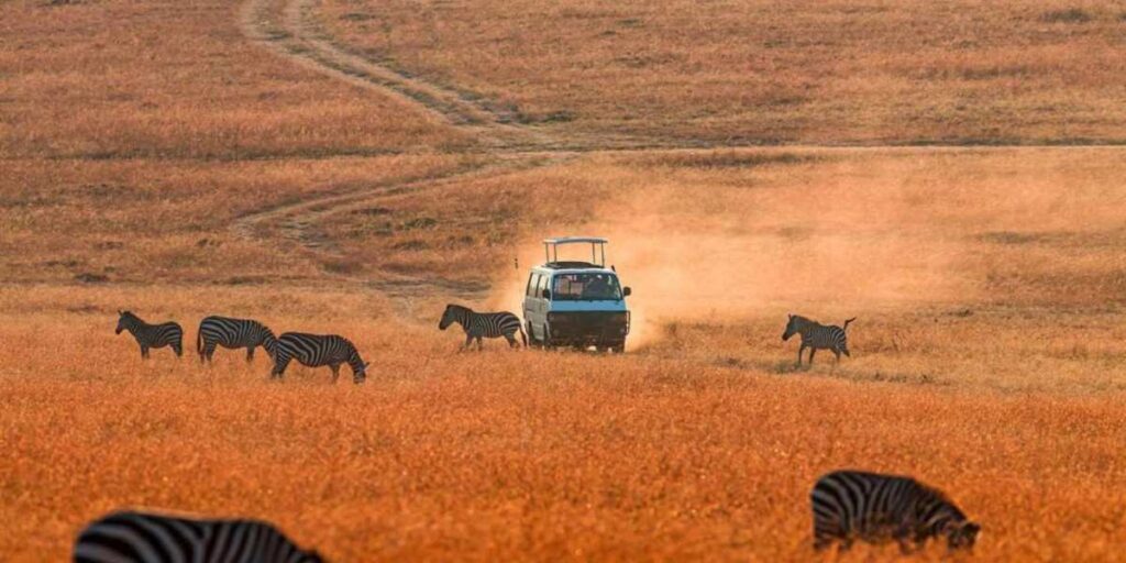 Kenya - Photographic Journey