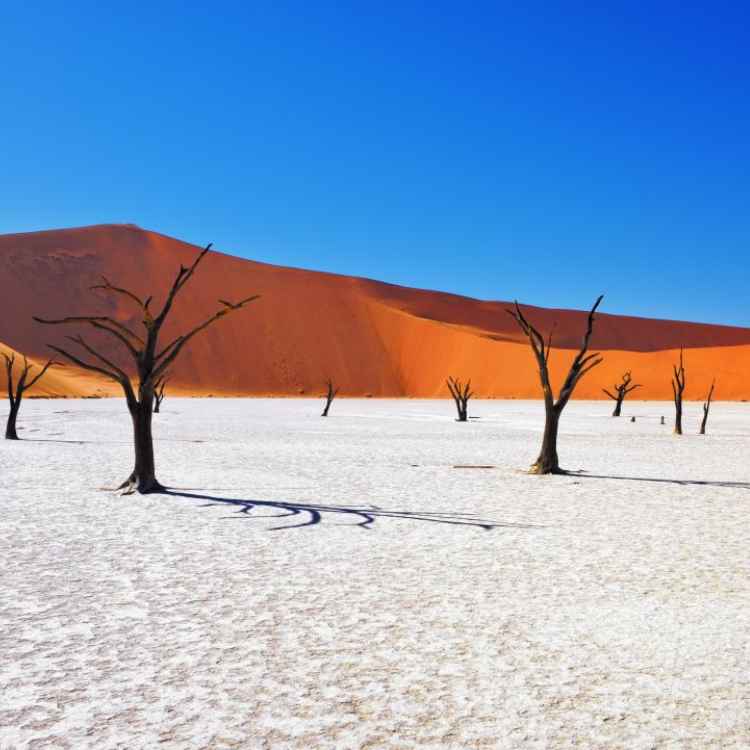namibia - Photographic Journey
