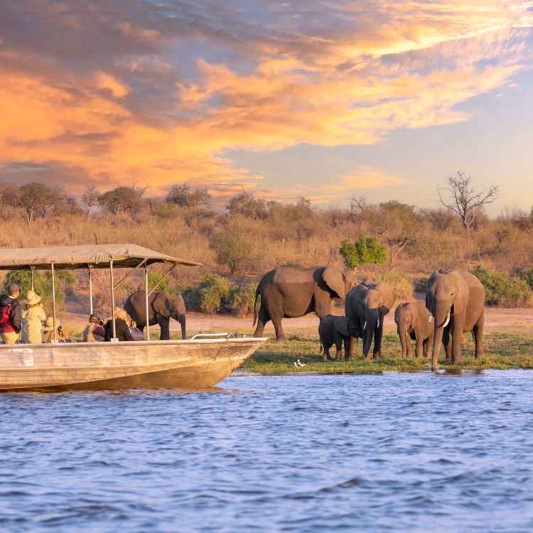 botswana - Photographic Journey