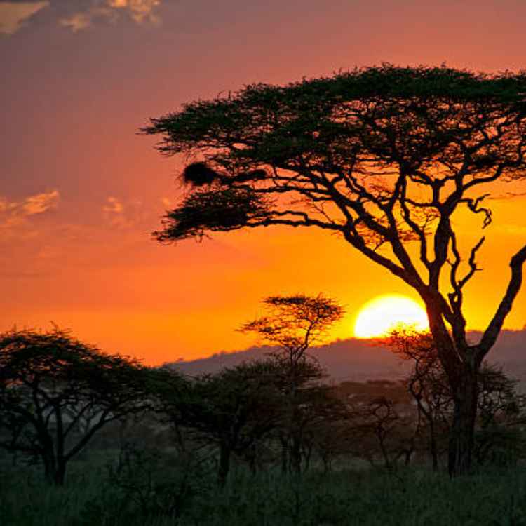 Tanzania - Photographic Journey