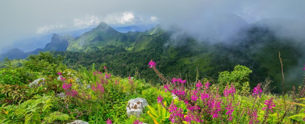 rethinkways-blog-beautiful-valleys