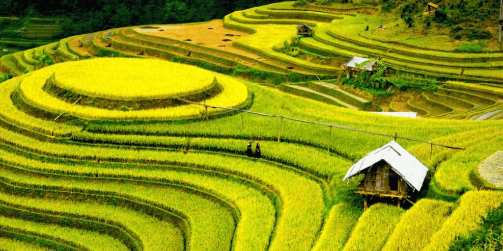 vietnam-05