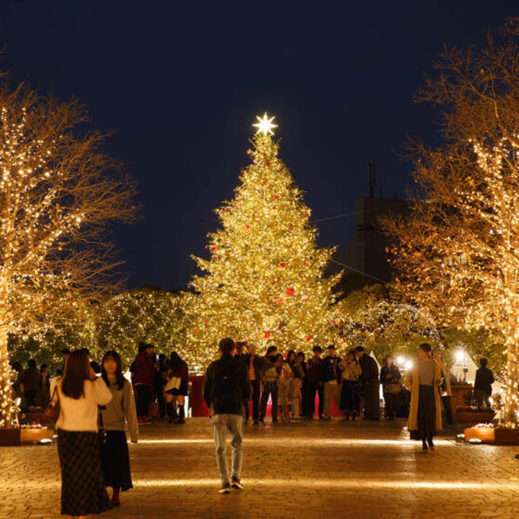 Top 10 International Destinations to Celebrate Christmas 2026 | Travel Rethink Ways 9 Christmas-09