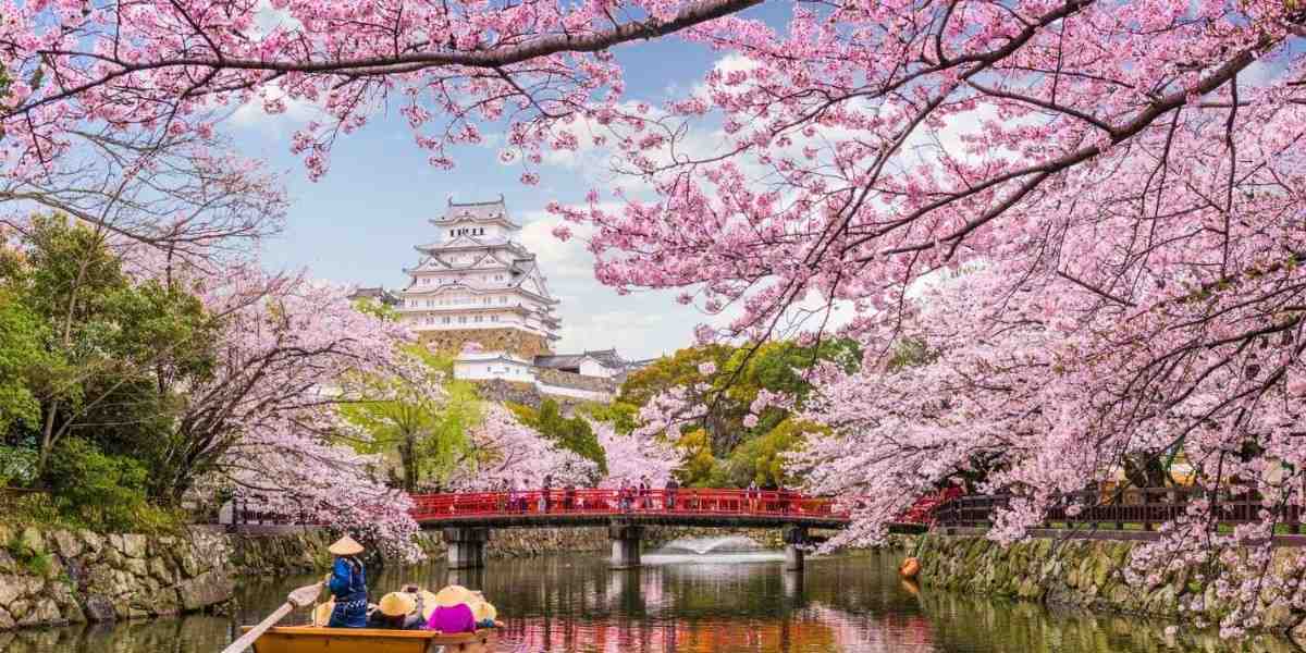 Hidden gems of Japan