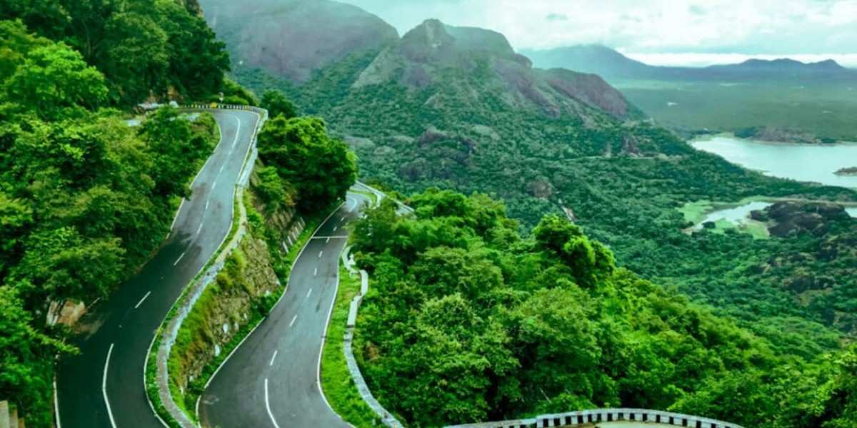 217 valparai