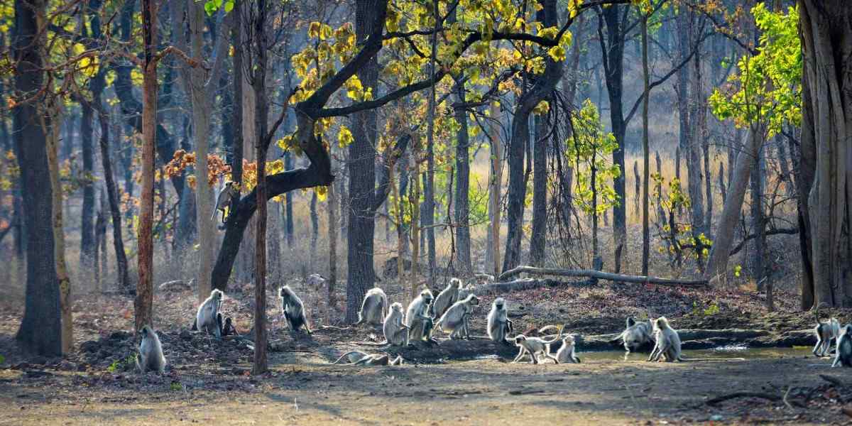 November in India