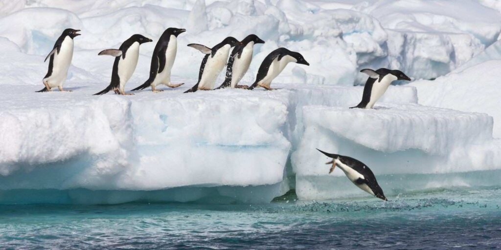 rethinkways-the-unexpected-beauty-of-everyday-life