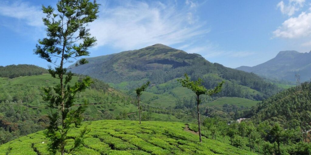 rethinkways-Anamudi Peak