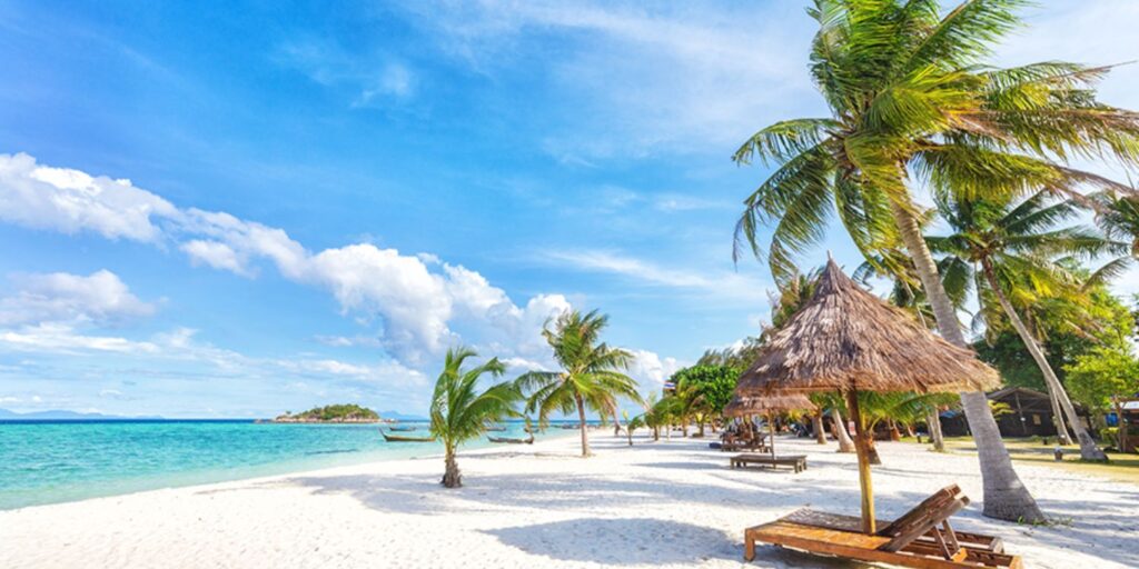 rethinkways-Chidiya Tapu