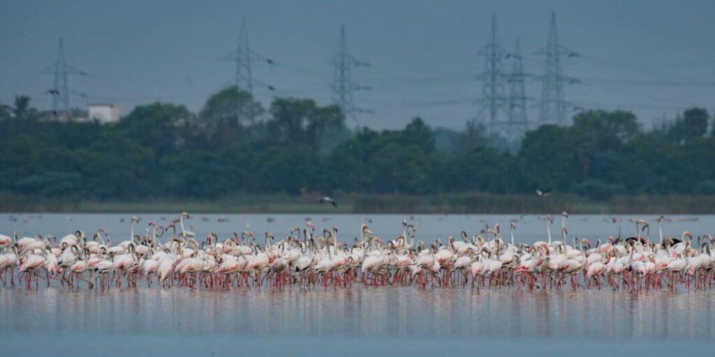 rethinkways-Ousteri Lake