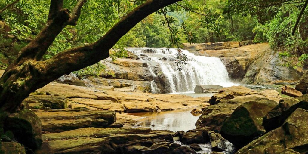 rethinkways-Thommankuthu Waterfalls