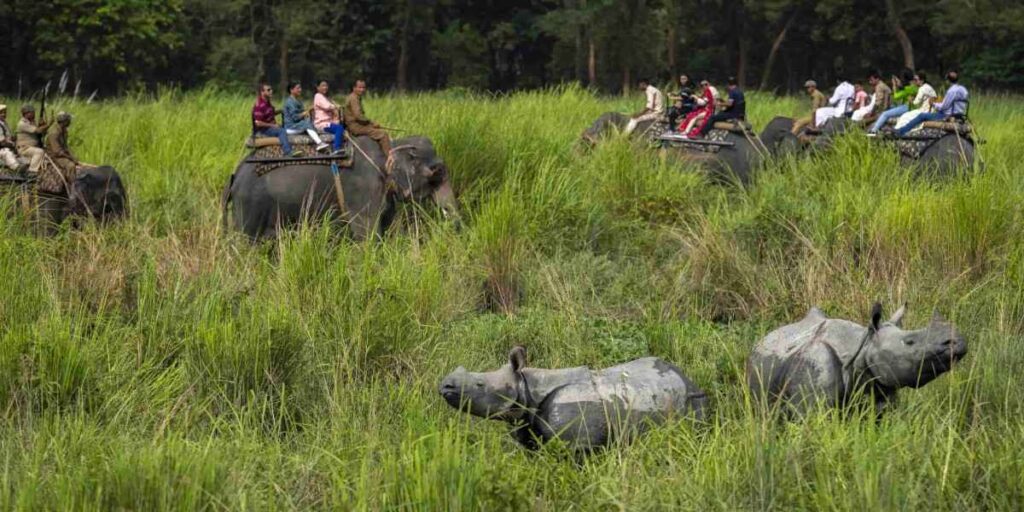 rethinkways-assam-pobitora-wildlife-sanctuary