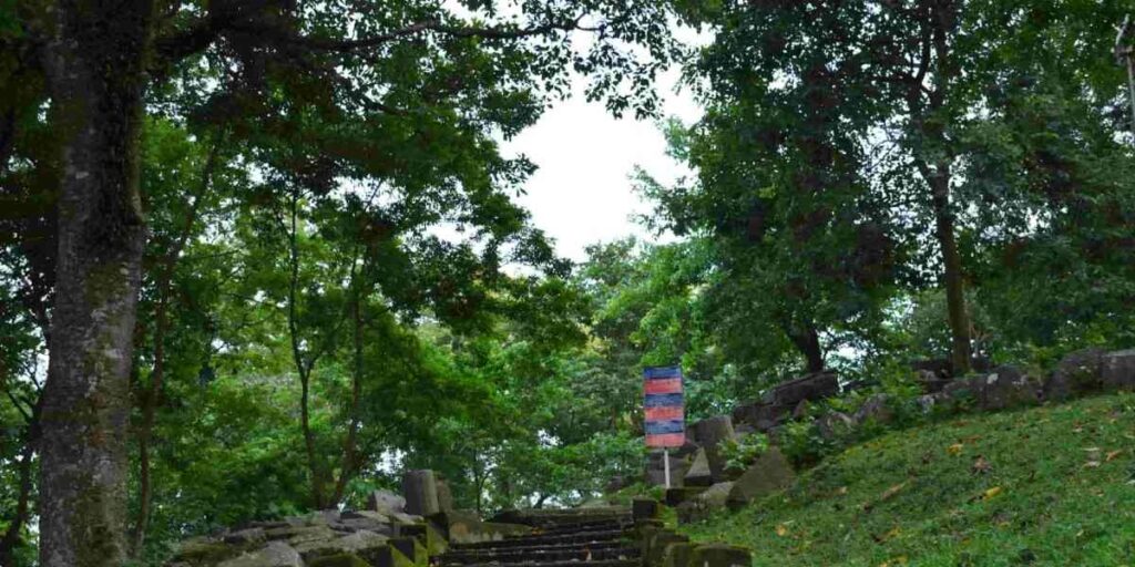 rethinkways-assam-tezpur