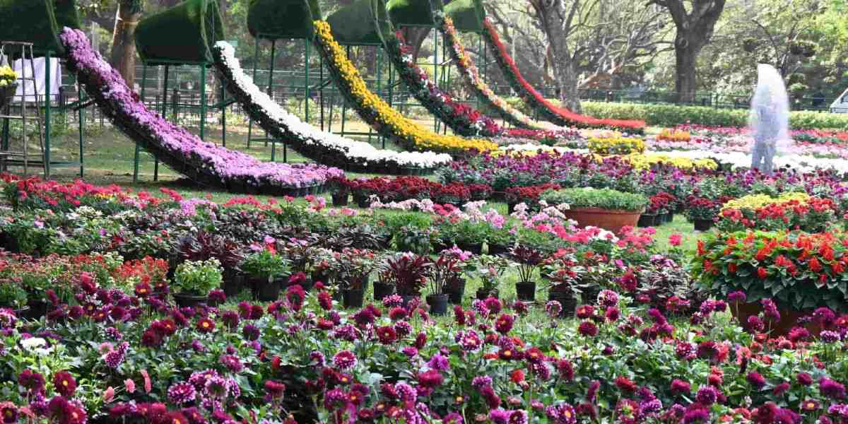 rethinkways-karnataka-lalbagh-botanical-garden