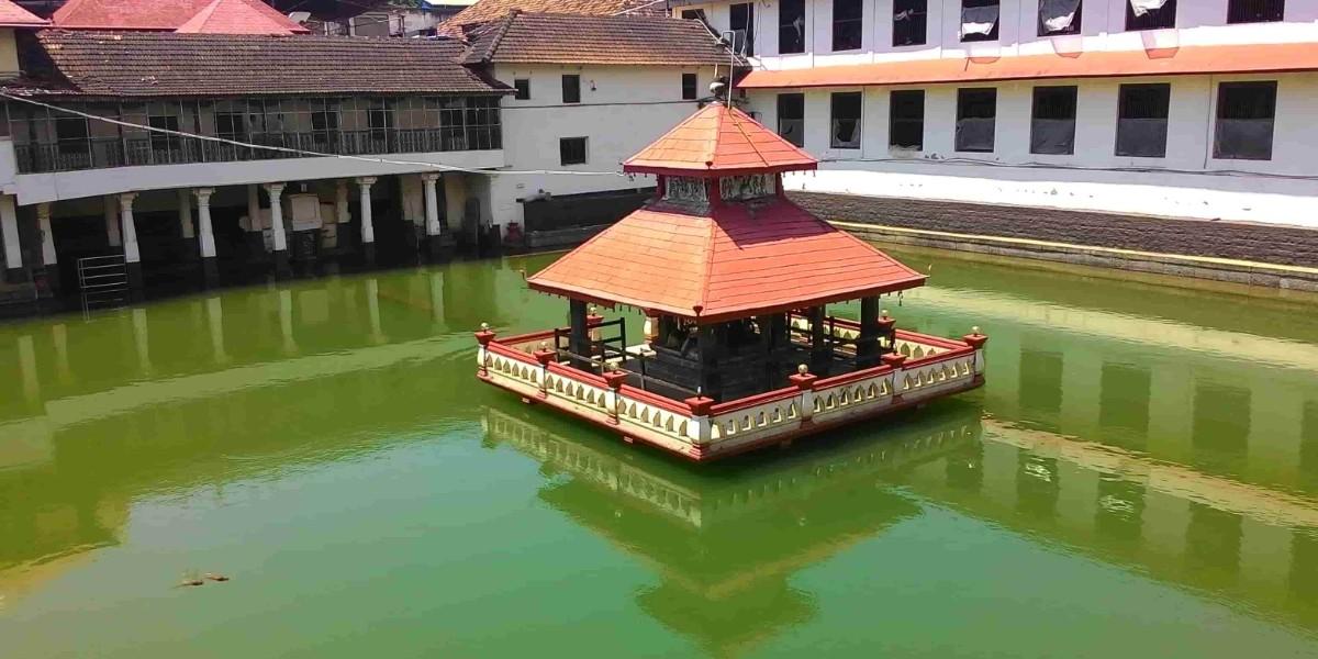 rethinkways-karnataka-sri-krishna-temple