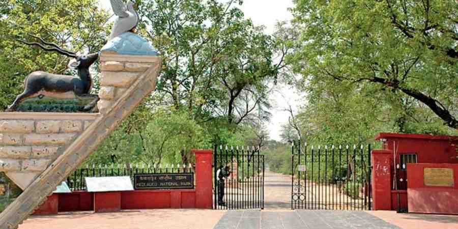 rethinkways-rajasthan-keoladeo-national-park