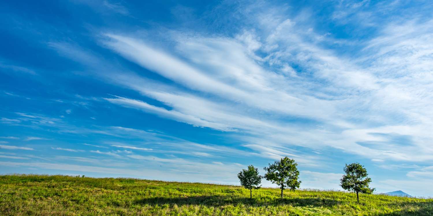 rethinkways-sky-drifters