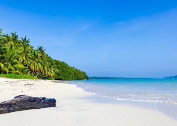 rethinkwways-andaman