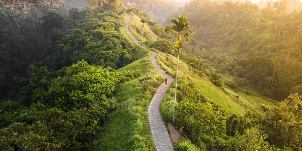 rethinkways-Campuhan Ridge Walk