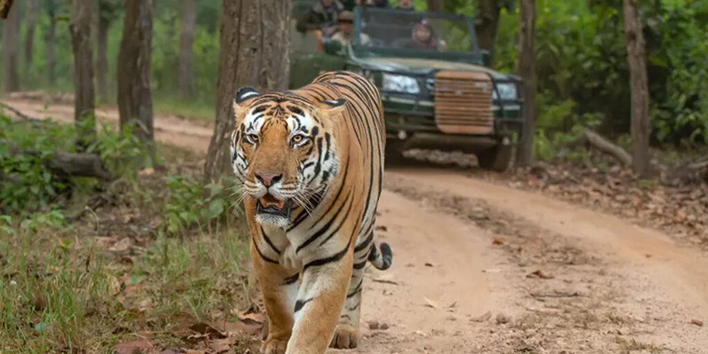 rethinkways-Kanha National Park