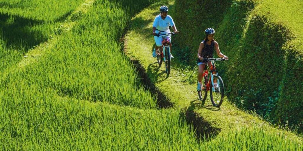 rethinkways-bali-adventure-cycling