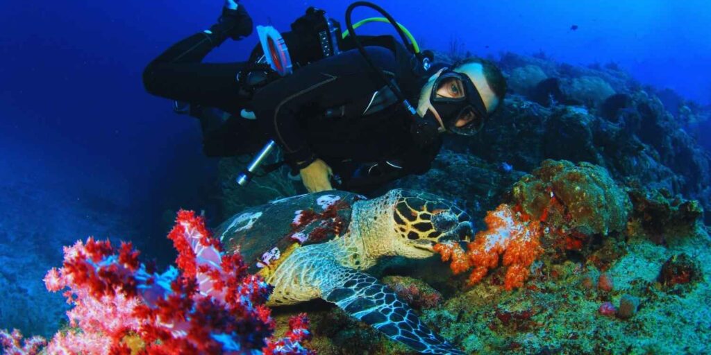 rethinkways-bali-adventure-scuba-diving
