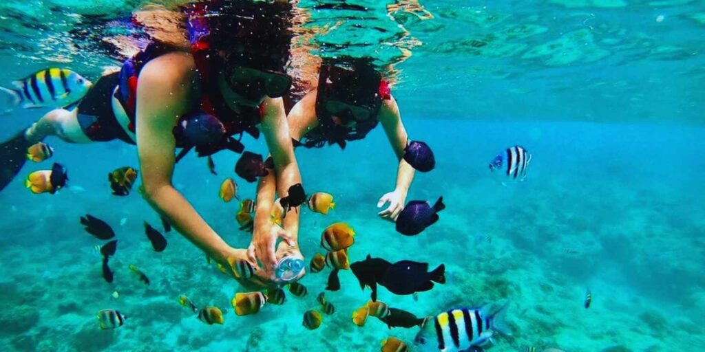 rethinkways-bali-adventure-snorkeling