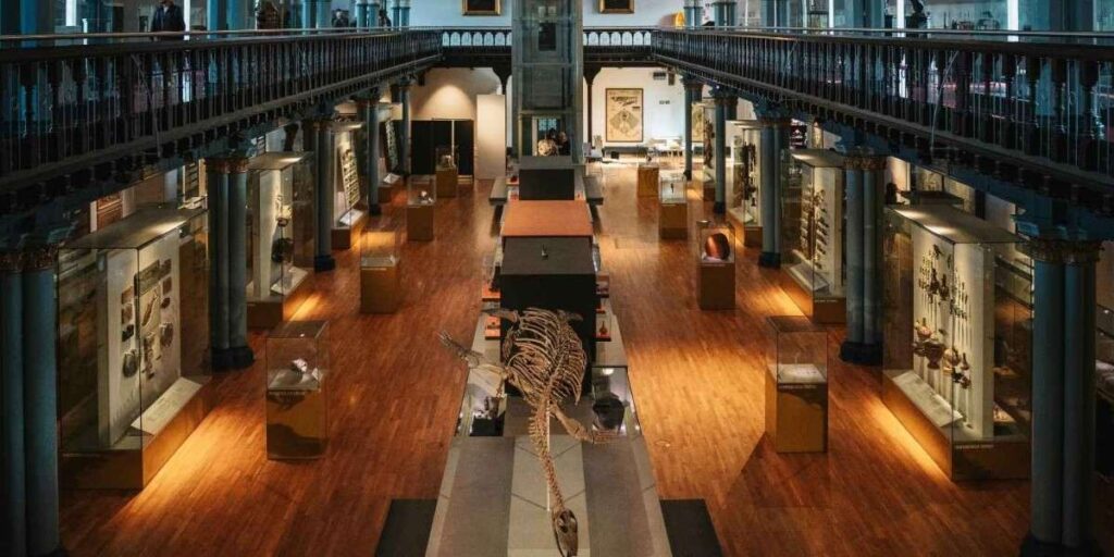 rethinkways-london-attractions-british-museum