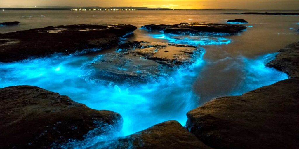 rethinkways-maldives-honeymoon-bioluminescent-beach
