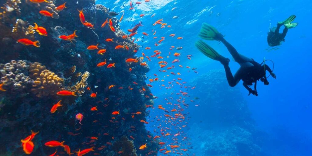 rethinkways-maldives-honeymoon-scuba-diving
