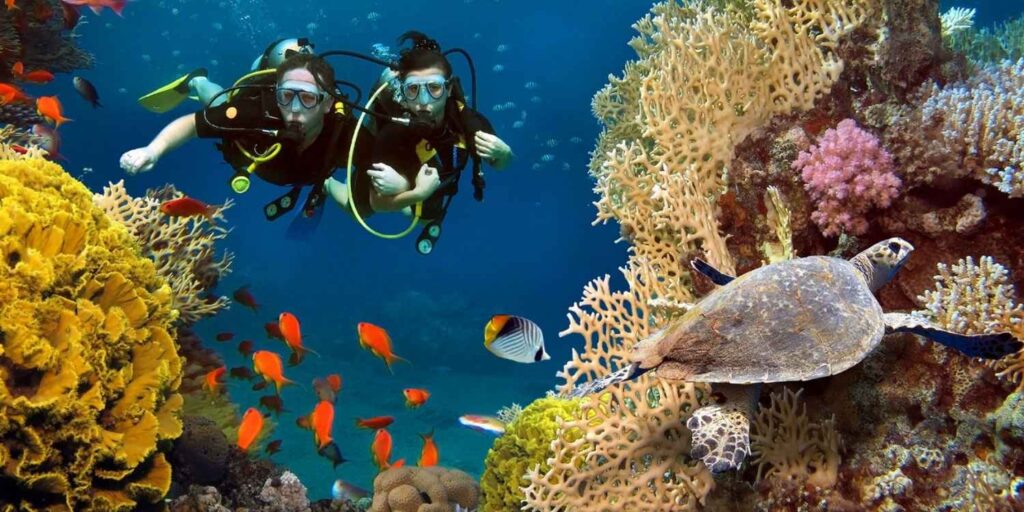 rethinkways-maldives-honeymoon-snorkelling