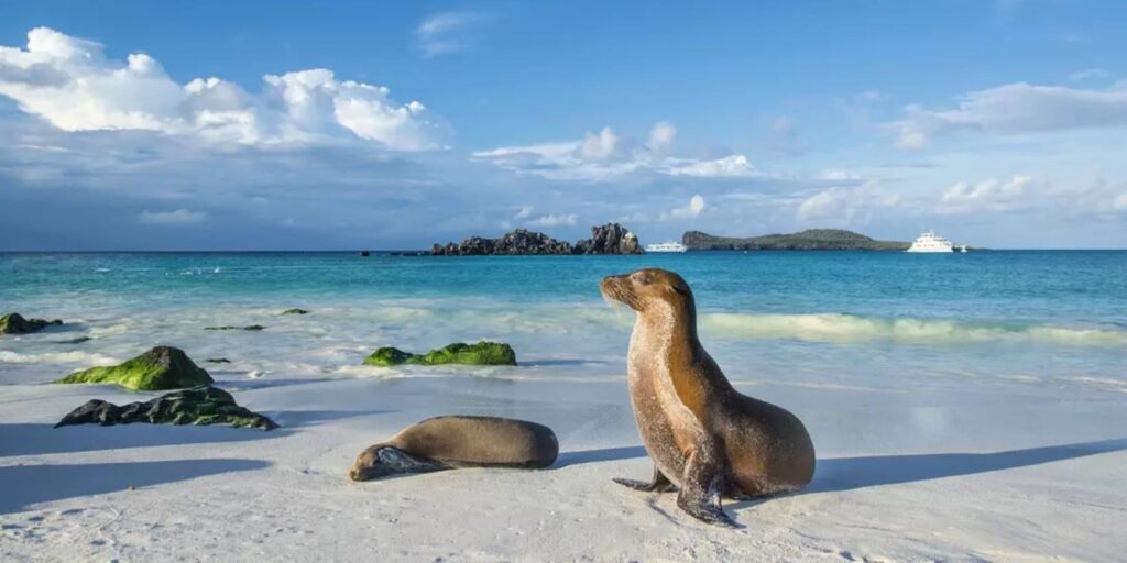 rethinkways-south-america-galapagos-Islands