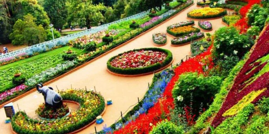 Ooty 